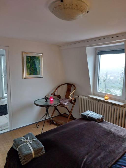 Casa Marieanne City Haus, Gratisparken, Traumblick Trier Eksteriør bilde